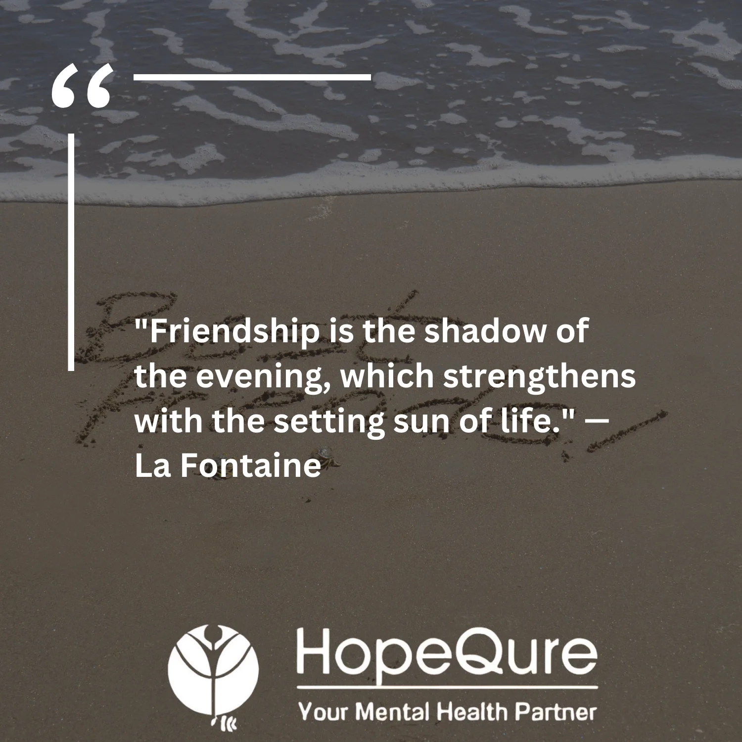 Best Friend Quotes | HopeQure