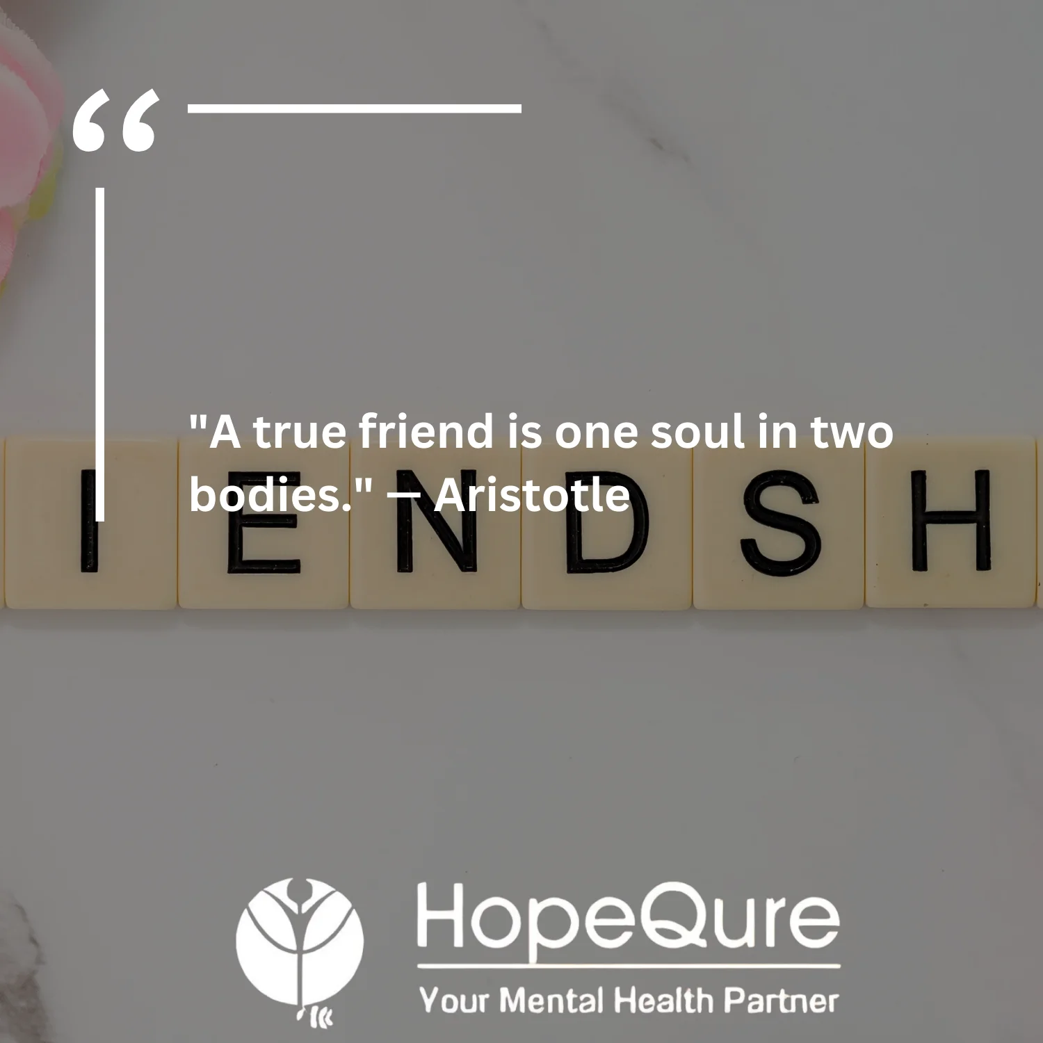 Best Friend Quotes | HopeQure