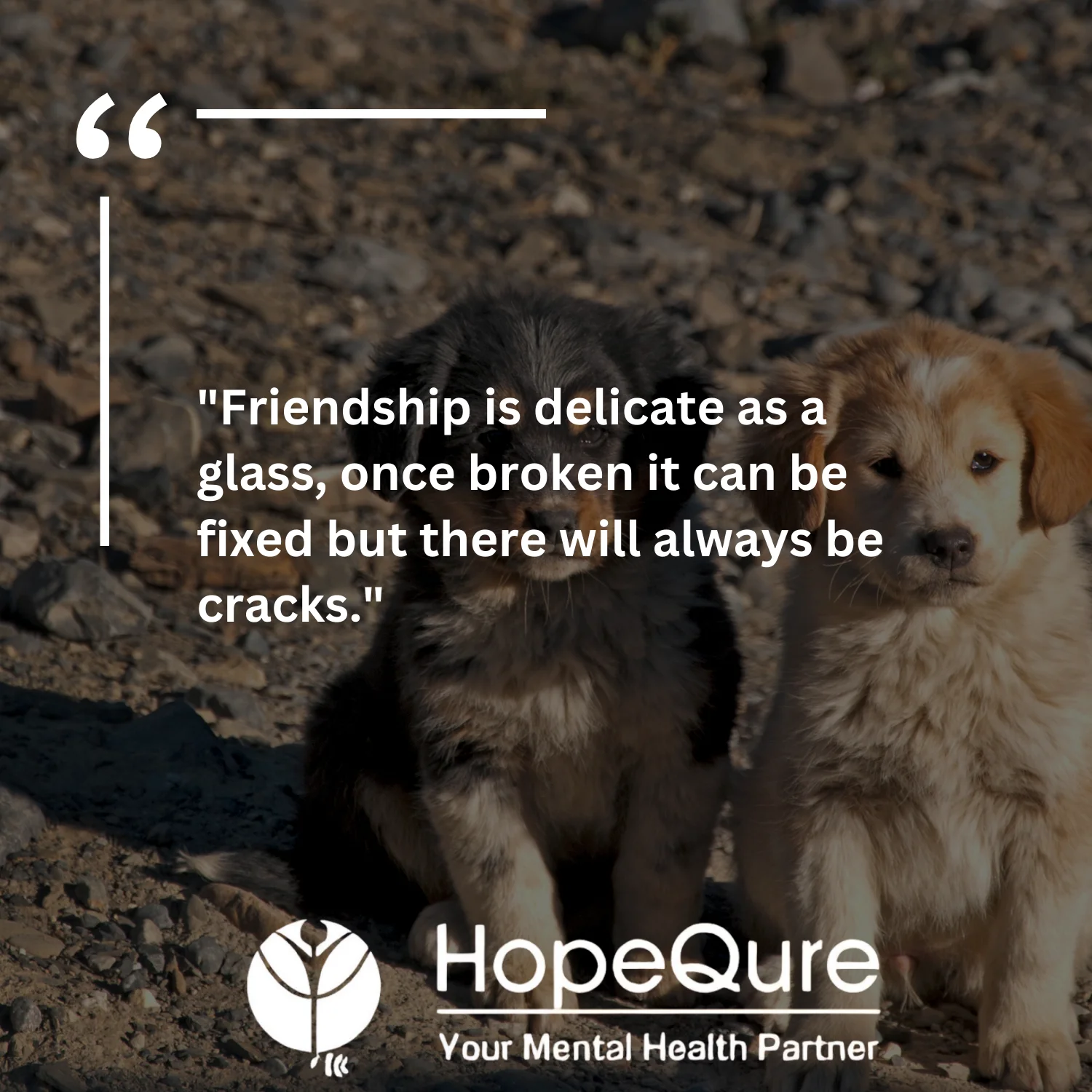 Best Friend Quotes | HopeQure